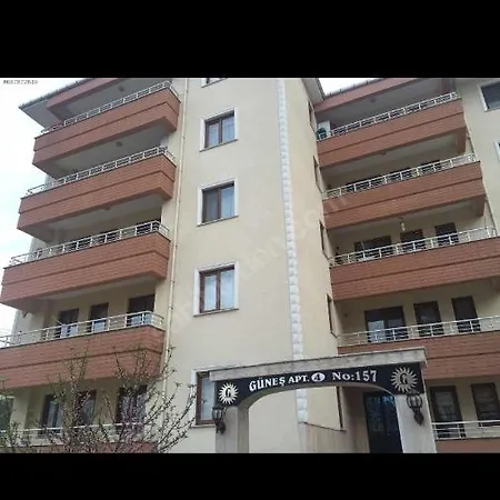 Forest View Friendly Family Halic