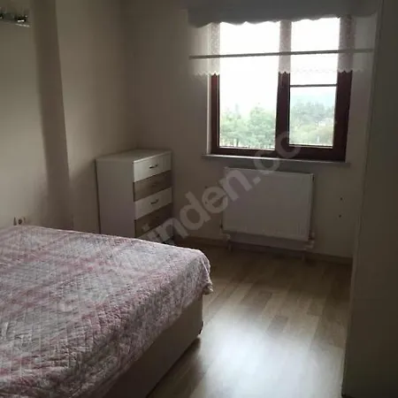 Forest View Friendly Family * Halic